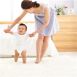 傻大姐家政 產品展示與店鋪裝修設計